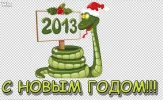 14.webp