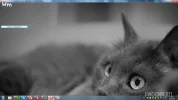 4nbiieirh12d06r.webp
